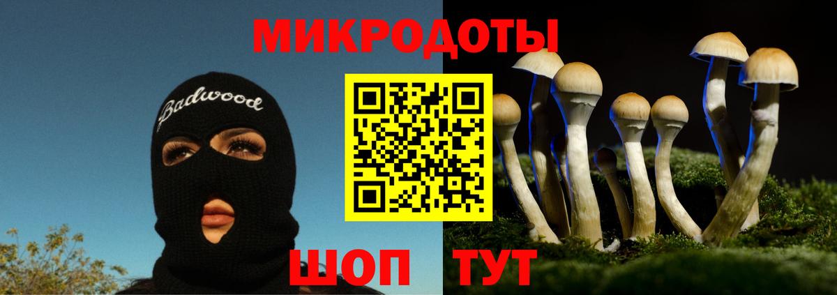Псилоцибиновые грибы Cubensis Ефремов